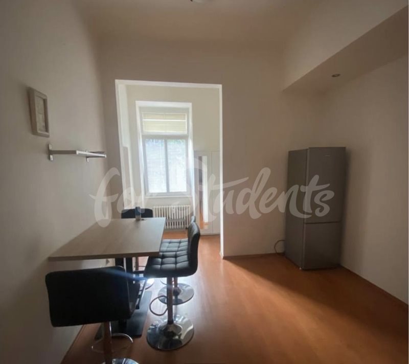One bedroom apartment in Brno center (Veveří district) (file IMG_8112.jpg)