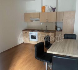 One bedroom apartment in Brno center (Veveří district) - IMG_8111