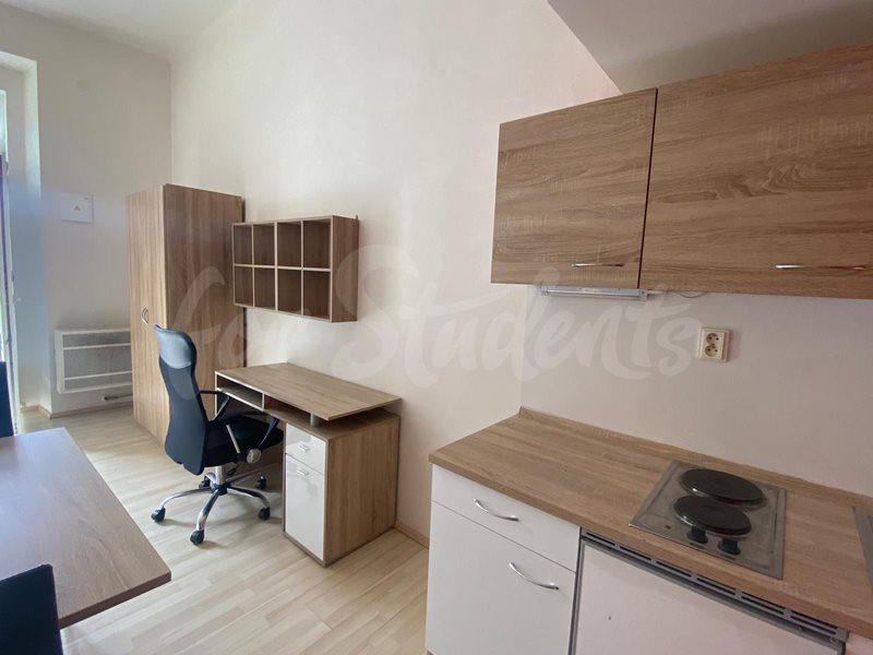 Spacious and modern studio apartment close to the city center, Brno (file PHOTO-2021-07-22-12-26-44.jpg)