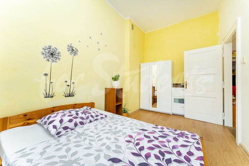 One bedroom apartment on K. H. Máchy Street, Hradec Králové  (file DSC00173.jpg)