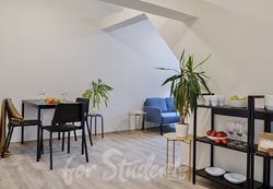 Lovely sunny loft-shared flat in the centre of Brno - MlHmAH