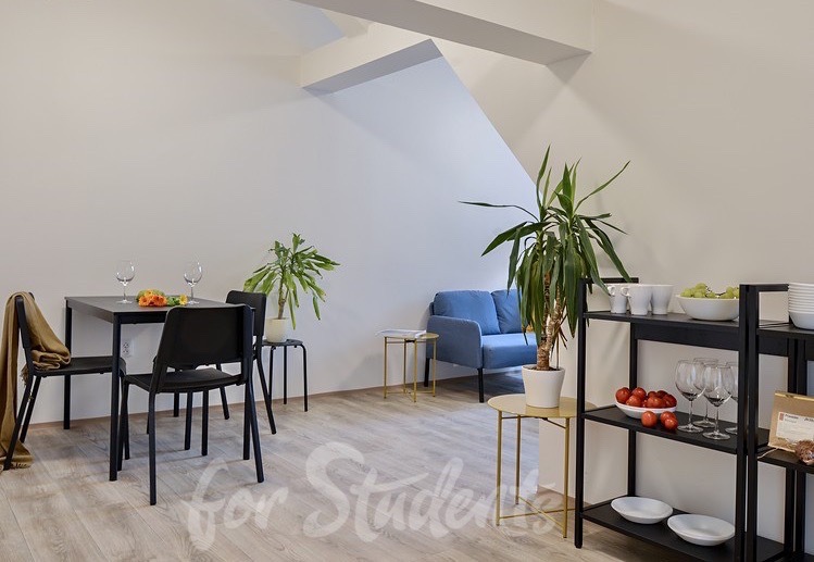 Lovely sunny loft-shared flat in the centre of Brno (file MlHmAH.jpg)