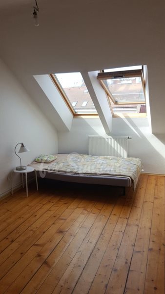 One room available in a female two bedroom apartment, Prague - RP1/23