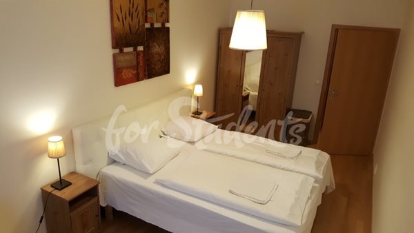 Cosy one bedroom apartment, Prague  - P19/25