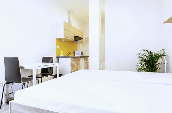 Modern studio apartment in Hybešova Street, Brno - B8/25