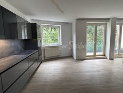 Newly reconstructed one bedroom apartment in Žižkov, Prague - IMG_7722