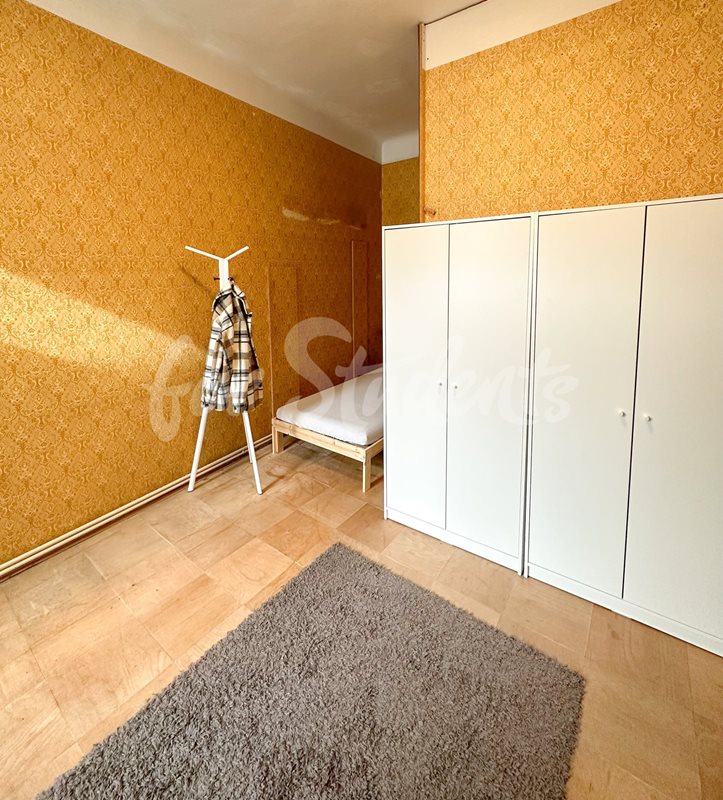 Double room in a shared apartment on Starobrněnská Street, Brno  (file IMG_2927_jpg.jpg)