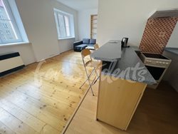 Spacious one bedroom apartment near the city center, Hradec Králové - 7951