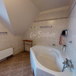 Spacious two bedroom apartment in a family house, Prague - PHOTO-2023-09-19-15-45-28