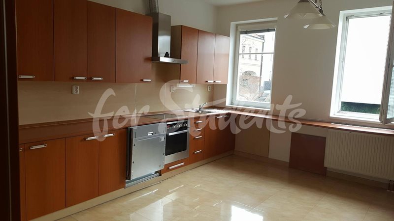 Four/Three bedroom apartment near the city center, Hradec Králové (file 23191872_10155803264373550_1371143800_o-(1).jpg)