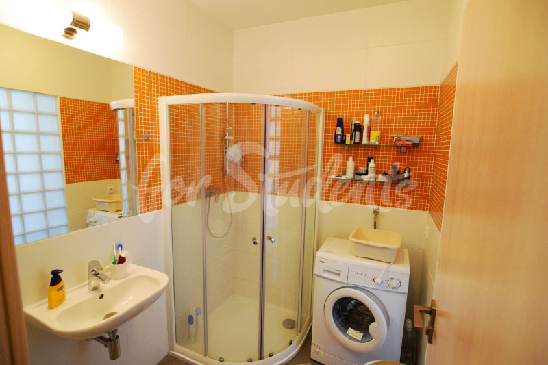 One bedroom apartment in perfect location close to city centre, Hradec Králové (file DSC_0145.jpg)