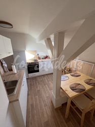 Newly reconstructed one bedroom apartment in the city center, Hradec Králové  - 0480