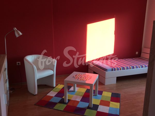 Studio apartment in New Town, Hradec Králové - 94/23