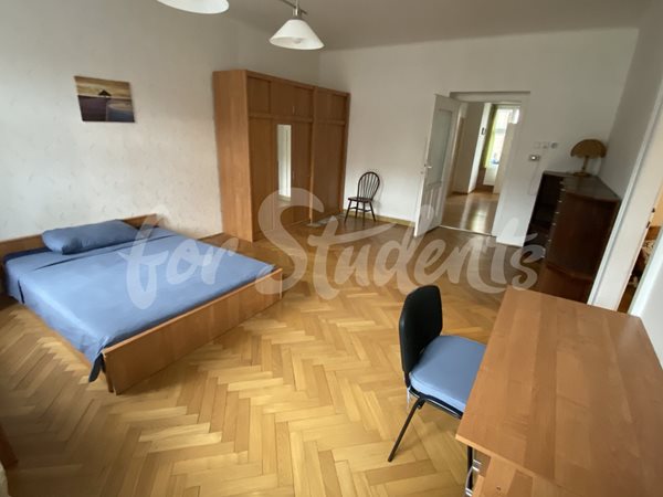 Two bedroom apartment in New Town, Hradec Králové - 57/22
