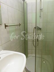 Studio apartment near the First Faculty of Medicine, Prague - P1010490