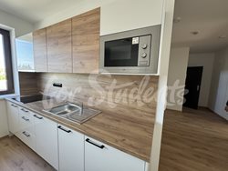 Three beds in shared brand new rooms available in a student's house, Hradec Králové - 637
