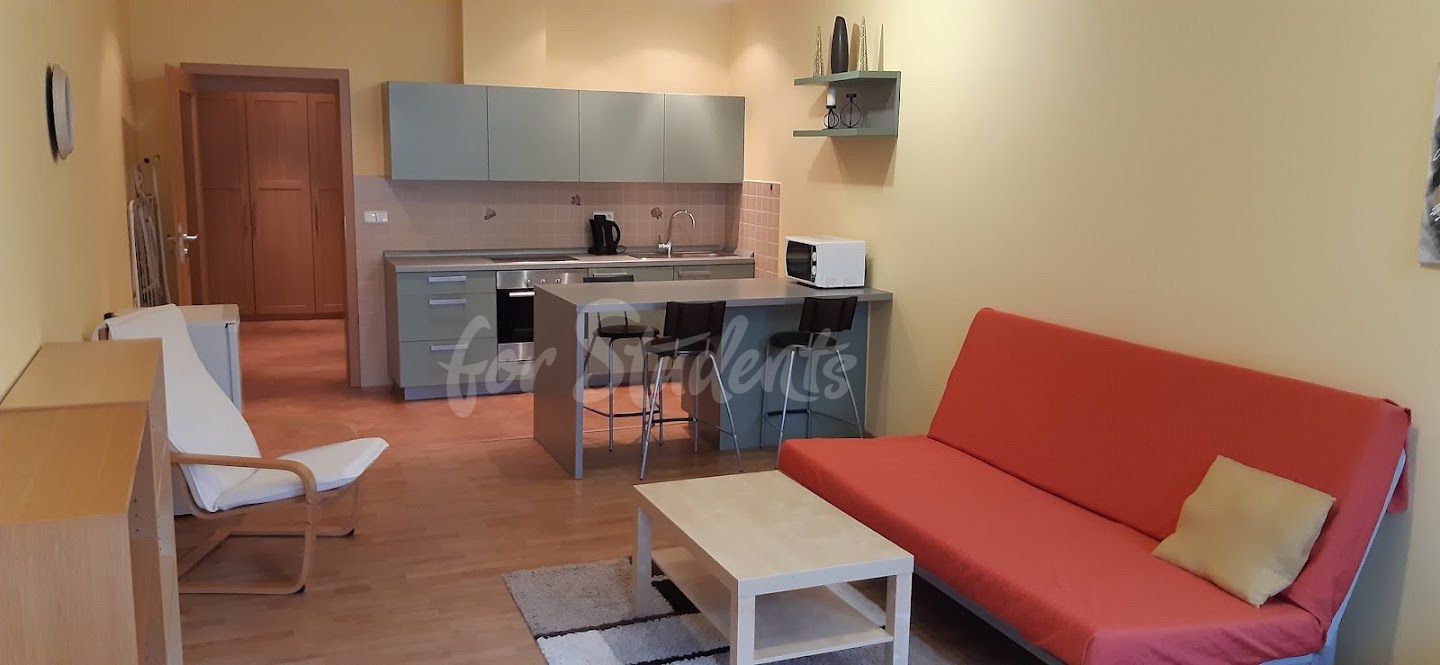 Spacious studio apartment in the Old Town available from August, Hradec Králové