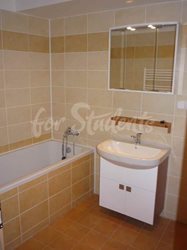 Spacious one bedroom apartment in the Old Town, Hradec Králové - 14-(1)