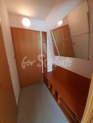 Great double room with a private bathroom, Brno - predsin