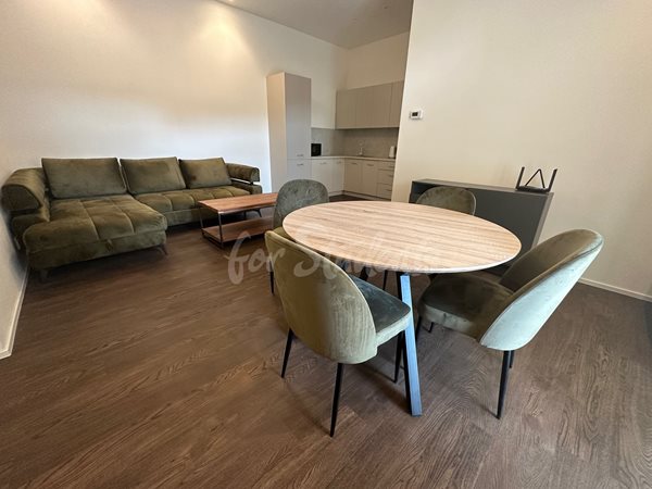 Fully furnished brand new one bedroom apartment in Tylovo nábřeží, Hradec Králové - 24/23