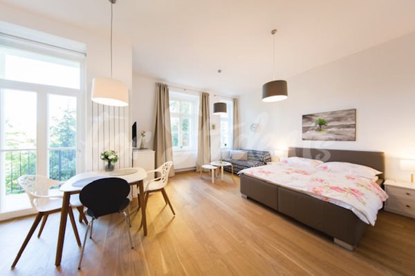 Modern and spacious studio apartment, Prague - P3/23