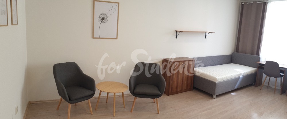 One bed available in a two bedroom apartment, Brno