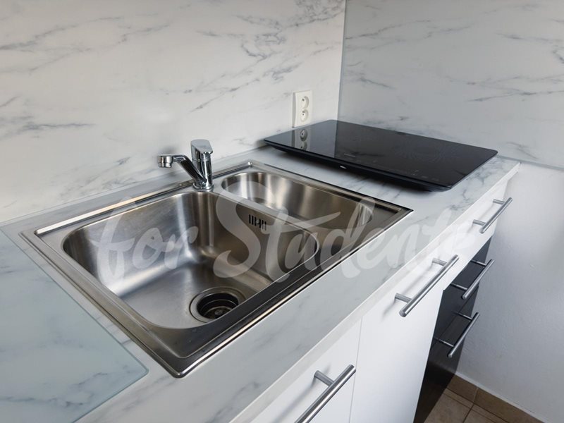 Modern studio apartment close to the Faculty of Medicine, Prague (file PHOTO-2025-10-03-16-48-14.jpg)