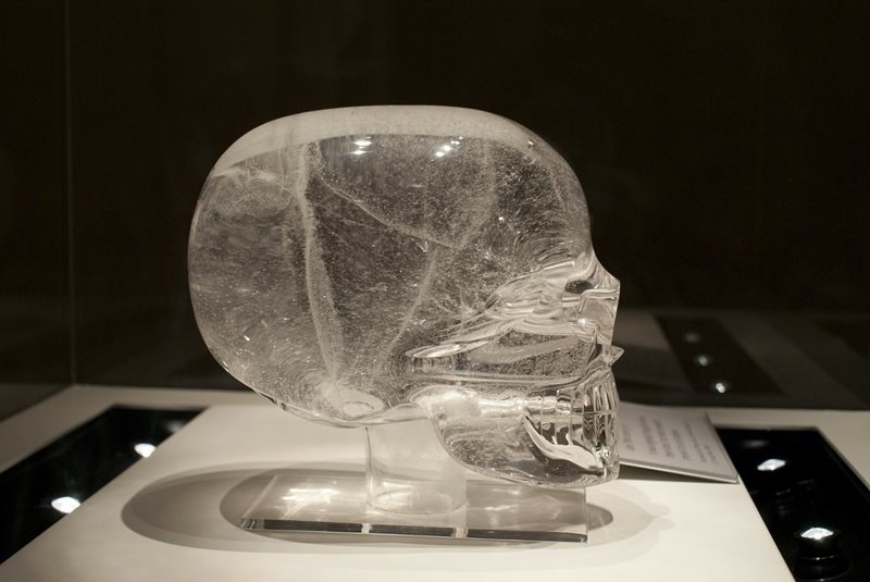 skull-314563_1280-(1).jpg