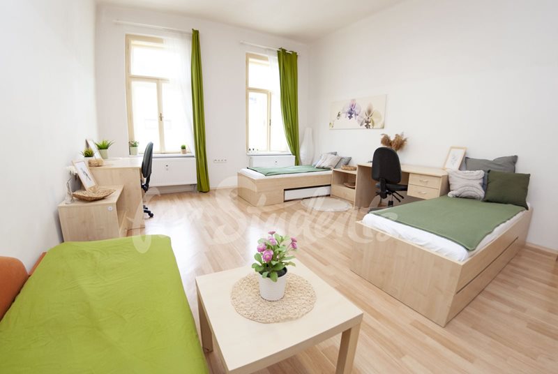 One bedroom available in a three bedroom apartment in the city center, Brno (file DSC_0565.jpg)