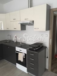 New spacious studio apartment, Brno - kuchyn2