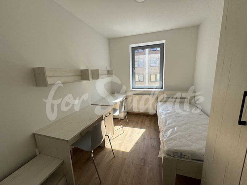Four brand new room in a four bedroom female apartment in a student's house, Hradec Králové (file 642.jpg)