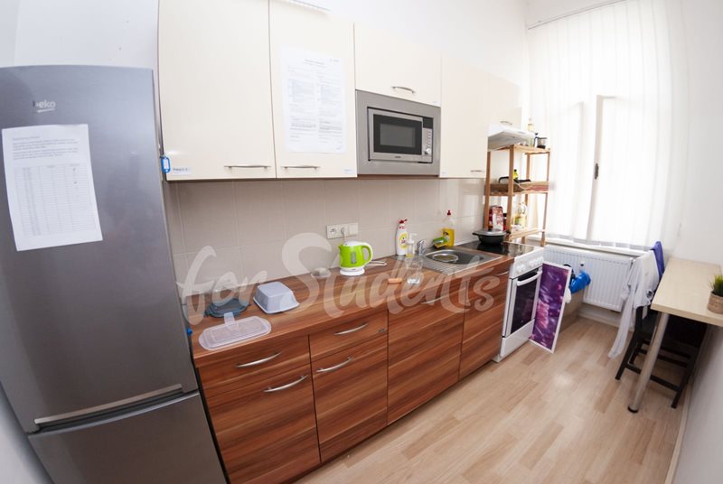 One bedroom available in a three bedroom apartment in the city center, Brno (file DSC_0547.jpg)