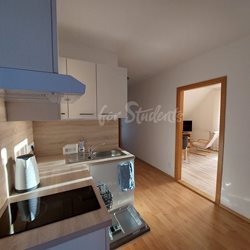 Spacious two bedroom apartment in a family house, Prague - PHOTO-2023-09-19-15-45-29