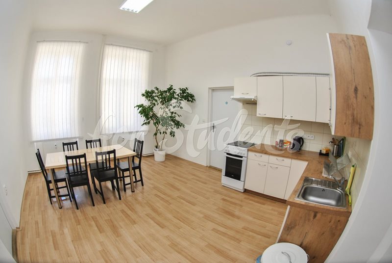 Place in a shared double room in the Brno city centre (file kuchyn2.jpg)