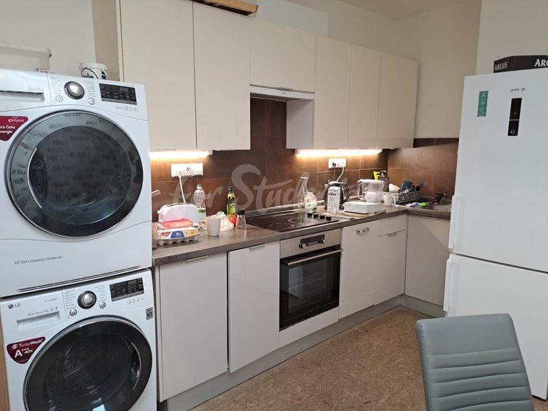 Four bedroom apartment in the city center, Prague (file 27b801f5-2c3b-4535-a324-c7e70002523d.jpg)