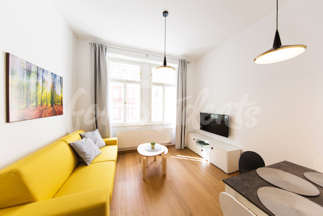 One/Two bedroom apartment in Žižkov, Prague