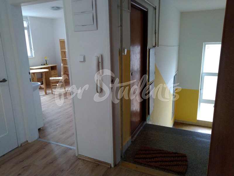 One room available in a three bedroom apartment, Brno (file IMG_20200321_155216-(1).jpg)
