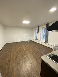 New Bright and spacious studio apartment close to Brno city centre - 506Ac