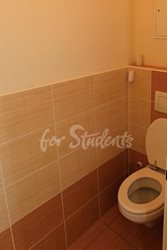 Spacious two bedroom apartment, Brno - WC_4N2B9710