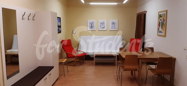 Two bedroom apartment in the Old Town, Hradec Králové - 30/23
