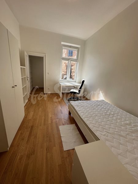 One bedroom available in female 3bedroom apartment in a student's house in the center of town, Hradec Králové - R4/24