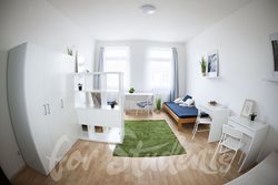 Place in a triple room close to city centre - DSC_0312