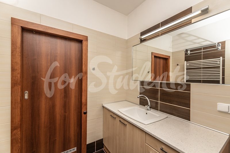Bright newly reconstructed one bedroom apartment close to city centre, Hradec Králové  (file foto-006-(2).jpg)