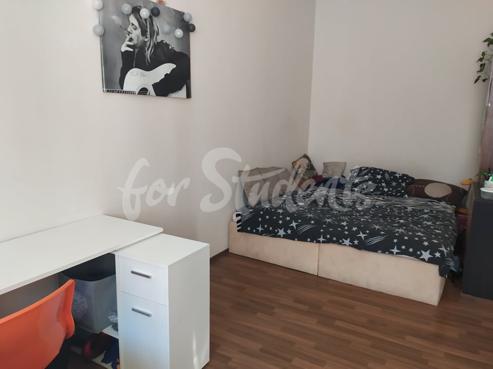 One spacious room available in shared apartment in New Town, Hradec Králové