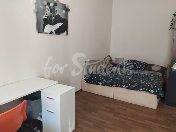 One spacious room available in shared apartment in New Town, Hradec Králové - R13/22