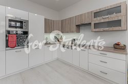 One bedroom available in female newly reconstructed three bedroom apartment, Hradec Králové - Kuchyn