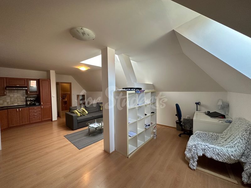 One bedroom apartment in Malé náměstí, Hradec Králové (file IMG_2332.jpg)