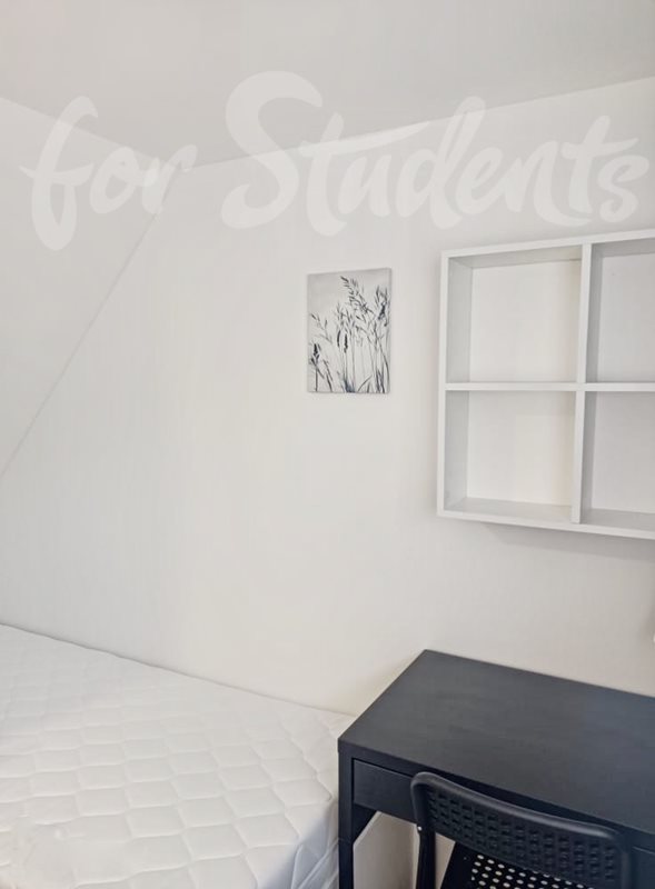3 bedroom apartment in Brno-old town (file 3FA2E844-316A-4FE9-8A2E-C9FC49B767EF_1_201_a.jpg)