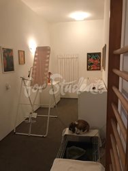 One room available in female shared apartment, 10min from city center, Prague - IMG-20200124-WA0018