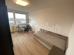 Two rooms available in four bedroom apartment near the city center, Hradec Králové - IMG_4630